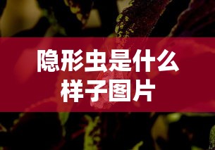 2021年限号最新通知  第1张
