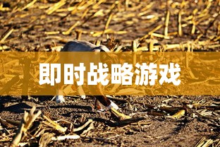 即时战略游戏  第1张