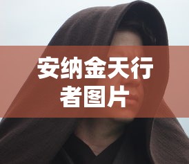 安纳金天行者图片  第1张