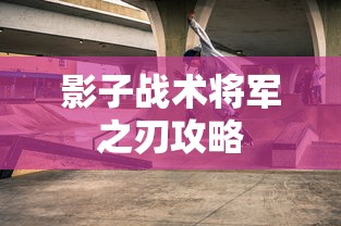 影子战术将军之刃攻略  第1张