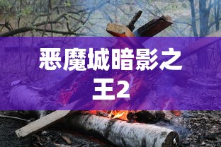 恶魔城暗影之王2  第1张
