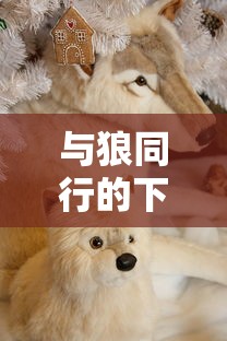 全面战争三国曹操信誉怎么恢复  第1张