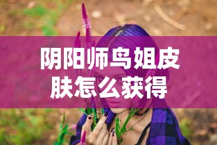 光影精灵2配置  第1张