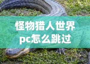 影之刃3官网下载  第1张