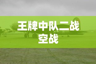 王牌中队二战空战  第1张