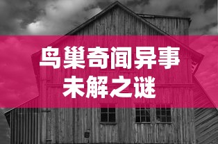 鸟巢奇闻异事未解之谜  第1张