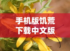 手机版饥荒下载中文版  第1张