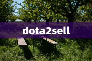 dota2sell  第1张