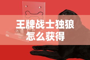 王牌战士独狼怎么获得  第1张