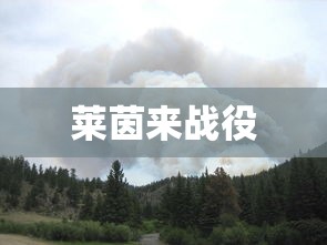 莱茵来战役  第1张