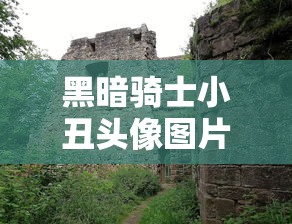 海贼王1099动画在线观看  第1张