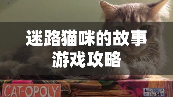 迷路猫咪的故事游戏攻略  第1张
