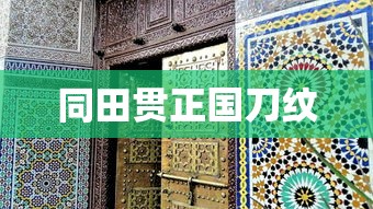 同田贯正国刀纹  第1张