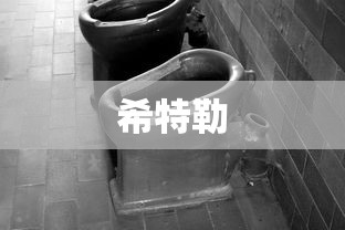 希特勒  第1张