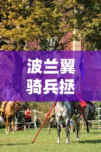 波兰翼骑兵拯救维也纳  第1张