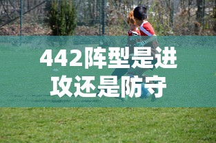 飞龙战士动画片免费观看  第1张