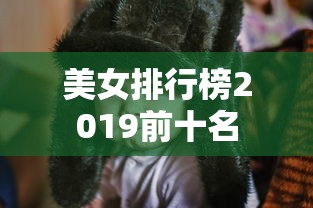 美女排行榜2019前十名  第1张