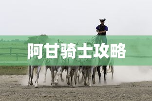 阿甘骑士攻略  第1张