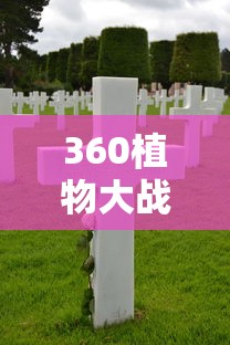 360植物大战僵尸2下载  第1张