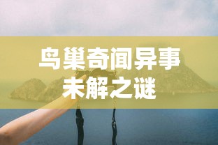 鸟巢奇闻异事未解之谜  第1张