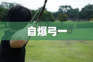 自爆弓一  第1张