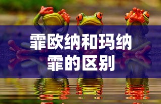 霏欧纳和玛纳霏的区别  第1张