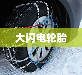 大闪电轮胎  第1张