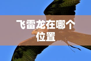 飞雷龙在哪个位置  第1张