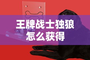 王牌战士独狼怎么获得  第1张