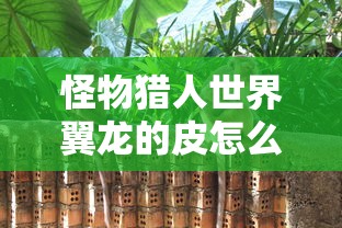 怪物猎人世界翼龙的皮怎么获得  第1张