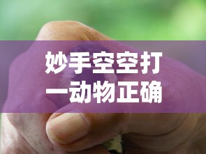 赤峰车管所违章查询电话  第1张