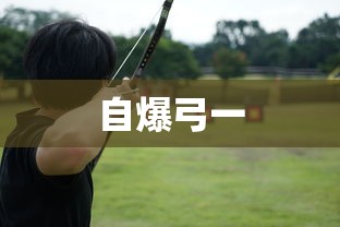 自爆弓一  第1张