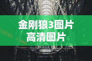金刚狼3图片高清图片  第1张