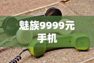 魅族9999元手机  第1张