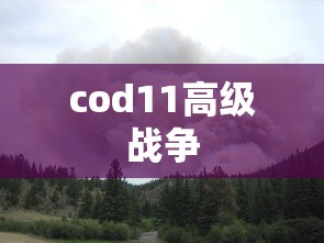 cod11高级战争  第1张