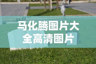 马化腾图片大全高清图片  第1张