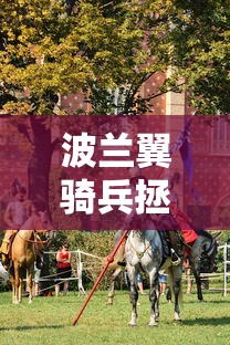 波兰翼骑兵拯救维也纳  第1张