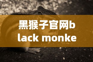 黑猴子官网black monkey游戏  第1张