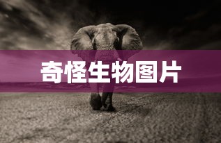 奇怪生物图片  第1张