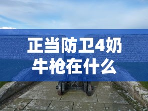 正当防卫4奶牛枪在什么位置  第1张