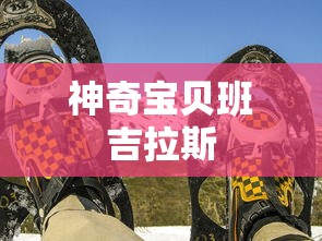 神奇宝贝班吉拉斯  第1张