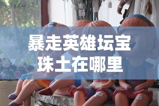 暴走英雄坛宝珠土在哪里  第1张