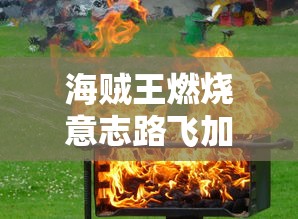 海贼王燃烧意志路飞加点图  第1张