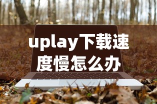 fifaol3麦孔  第1张