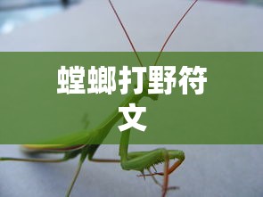 螳螂打野符文  第1张