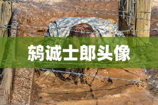 鸫诚士郎头像  第1张