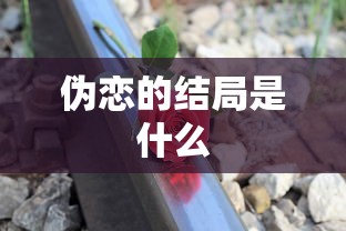 伪恋的结局是什么  第1张