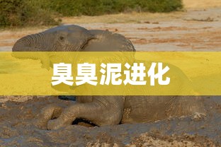臭臭泥进化  第1张