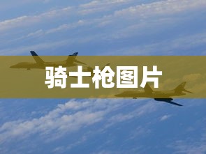 骑士枪图片  第1张