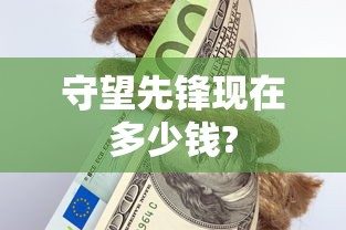 守望先锋现在多少钱?  第1张
